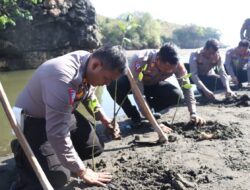 Aksi Peduli Lingkungan, Polres Blitar Tanam Puluhan Ribu Mangrove dan Lepas Tukik ke Pantai