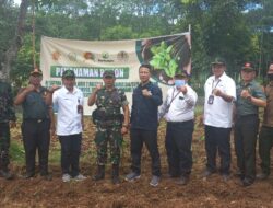 Seluruh Jajaran Kostrad Bersama KPH Bondowoso, Melaksanakan Penanaman Pohon Dalam Rangka HUT Ke-77