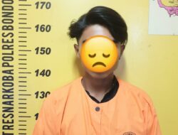 Pengedar Pil Koplo Kembali Berhasil di Bekuk Polisi