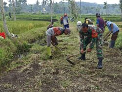 Pasca Hujan Deras, Babinsa Koramil 0822/09 Pujer Bersama Warga Bersihkan Irigasi Sawah