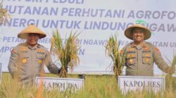 Kapolda Jatim HadiriPanen Raya dan Tanam Bibit Alpukat Bersama Forkopimda Ngawi