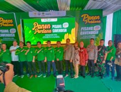 Dandim 0822 Bondowoso Hadiri Panen Perdana Pisang CAVENDISH
