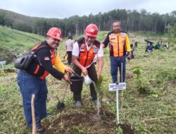 KPH Bondowoso, Melaksanakan Penanaman Bersama Pohon Pinus di pandu Langsung, Achmad Basuki PSDH DIVRE JATIM