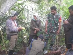 Kejari Situbondo, Pemeriksaan Dititik Lokasi Sengketa Dikawasan Hutan Petak 6E dan 6G RPH Sumber Malang