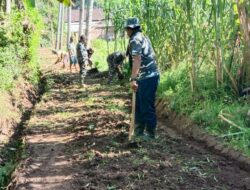 Warga Bantu Satgas TMMD 116 Bondowoso Bersihkan Lokasi Pembangunan Jalan Paving