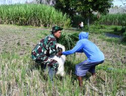 Canda Tawa Satgas TMMD 116 Bondowoso Dengan Masyarakat