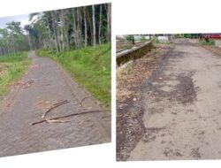 Truk Pengangkut Tebu Diduga Pemicu Rusaknya Jalan Desa Margomulyo Banyuwangi