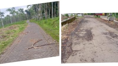 Truk Pengangkut Tebu Diduga Pemicu Rusaknya Jalan Desa Margomulyo Banyuwangi