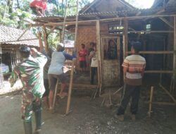 Wujudkan Mimpi Bu Lis, Babinsa Posramil Binakal Gotong Royong Bantu Bedah Rumah