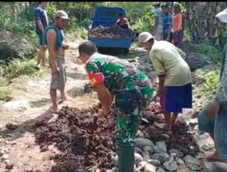 Babinsa Koramil 0822/15 Klabang Bondowoso Bantu Warga Dalam Pengecoran Jalan