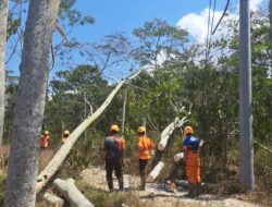 Akibat Angin Kencang, Babinsa Kopka Ringgo Bantu Evakuasi Tiang Listrik Tumbang