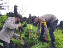 Cegah Sejak Dini Bencana Alam BKPH Sukosari Gandeng Forkopimcam Dan BPBD Bondowoso Tanam Pohon Dilereng Pegunungan