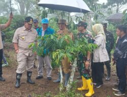 Dandim 0422/Lampung Barat Bersama Pj. Bupati Nukman Dampingi Gubernur Lampung Kenali Kopi Arabika Lambar.