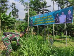 Sukseskan Program Hanpangan, Kodim 0822 Bondowoso Siapkan Lahan 1 Hektar