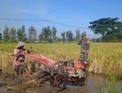 Babinsa Pelda Slamet, “Pengolahan Menggunakan Alsintan Traktor Bertujuan Memperbaiki Sifat Fisik Tanah”