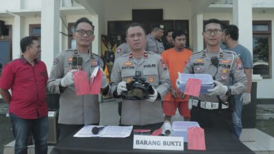 Polisi Berhasil Ungkap Jaringan Peredaran Ganja 2 Kilogram dan Tangkap Pelaku di Kota Malang