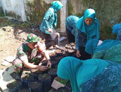 Babinsa Desa Mengok Bersama TP PKK Sukseskan Program Gastancap