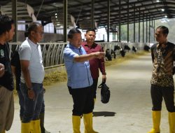 Berkunjung ke Bondowoso Jenderal (Purn) Dudung Abdurahman Puji Peternakan Sapi Perah