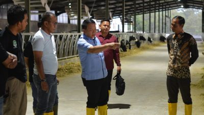 Berkunjung ke Bondowoso Jenderal (Purn) Dudung Abdurahman Puji Peternakan Sapi Perah