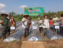 Pj Bupati Bondowoso Berupaya Mengoptimalkan Bantuan Dibidang Pertanian