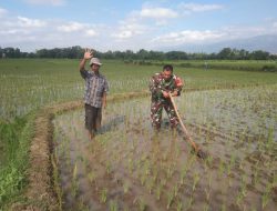 Babinsa Sertu Epi Tak Kenal Lelah, Tetap Berdedikasi di Hari Minggu