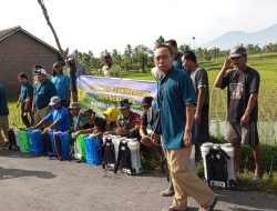 Berantas Hama, Babinsa Dampingi Kegiatan Gerdal OPT Tanaman Padi