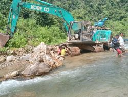 Penambang Emas Ilegal di Batang Sinabuan Jorong Perdamaian Nagari Simpang Tonang Utara Kembali Beroperasi