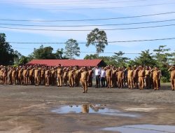 Pemerintah Kabupaten Nias Utara Gelar Apel Bersama