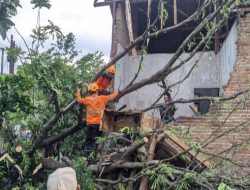 Angin Puting Beliung Terjang Pemukiman, Tanggap Cepat Koramil Maesan, Polsek, dan BPBD Tinjau Lokasi Terdampak