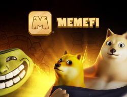 Everything About MemeFi: Coming Soon to Global Crypto Exchanges on November 12