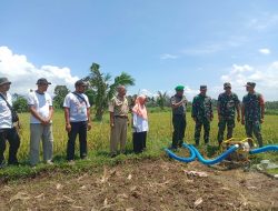 Tim Wasev Kodam V Brawijaya Tinjau Pompanisasi di Desa Taman, Dorong Produktivitas Pertanian Bondowoso