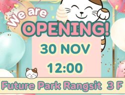 Karaoke Manekineko Opens Fourth Branch at Future Park Rangsit – Bringing Joy to Rangsit on November 30, 2024!