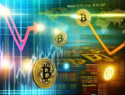 Bitcoin’s Remarkable Journey in 2024: Insights, Events, and Future Outlook