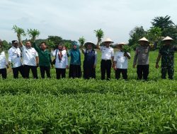 Lauching Mustahik Income Generating Program YBM Brilian Regional Office Palembang