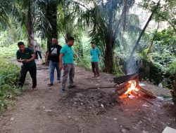 Polsek Bilah Hulu Grebek Sarang Narkoba di Desa Linggatiga Bong dan Alat Hisap Dimusnahkan