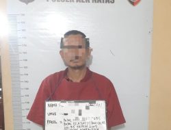Lagi Asyik Pesta Sabu di Kebun Sawit, Seorang Pelaku Diciduk Polisi
