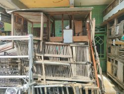 Bau Kotoran Hewan Ternak Milik Seseorang Dikeluhkan Warga Gundih Lapangan, Pemkot segera Bertindak