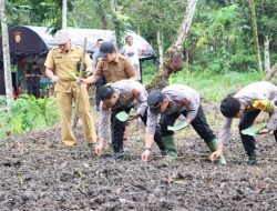 Penanaman Jagung Serentak 1 Juta Hektar : Wujud Nyata Polri Dalam Program Ketahanan Pangan