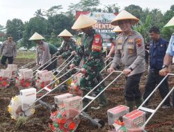 Dukung Ketahanan Pangan, Polres Purbalingga Tanam Jagung di Desa Candiwulan