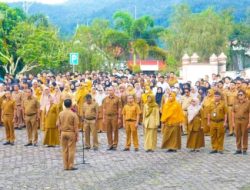 Kemajuan IDM Kabupaten Solok 2024, dari Desa Tertinggal ke Desa Mandiri