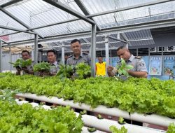 Kepala Rutan Kelas I Palembang Dukung Program Ketahanan Pangan dengan Panen Sayur Hidroponik