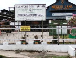 Warga Keluhkan Dampak Limbah PMKS Socfindo: Bau Menyengat dan Kerusakan Atap Rumah