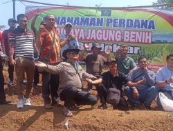 Penanaman Perdana Benih Jagung 5 Ribu Hektar Dihadiri Kepala Desa Cibangkong Kaman