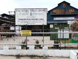 Masyarakat Terkena Dampak Limbah & Abu Boiler PT Socfindo, Akan Gelar Aksi Demo