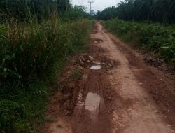 Jalan Masyarakat Diputus PT Socfindo, Warga Blok 3 dan Blok 4 Mengeluh