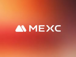 MEXC Rises to Top 6 in Spot and Top 5 in Derivatives with Winning Memecoin Listing Strategies