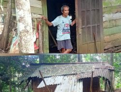 10 Tahun Tinggal di Gubuk Reot, Kisah Dirun yang Luput dari Perhatian Pemerintah