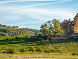 Unveil the Allure of Mâcon Wines: Savor the Elegance of Southern Bourgogne