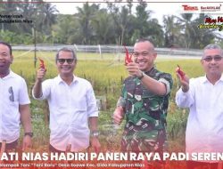 Bupati Nias Ikuti Panen Raya Padi Serentak, Ajak Semua Pihak Dukung Pertanian untuk Swasembada Pangan Nasional