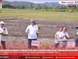 Dukung Ketahanan Pangan Nasional, Pemerintah Kabupaten Nias Ikuti Gerakan Tanam Padi Serentak